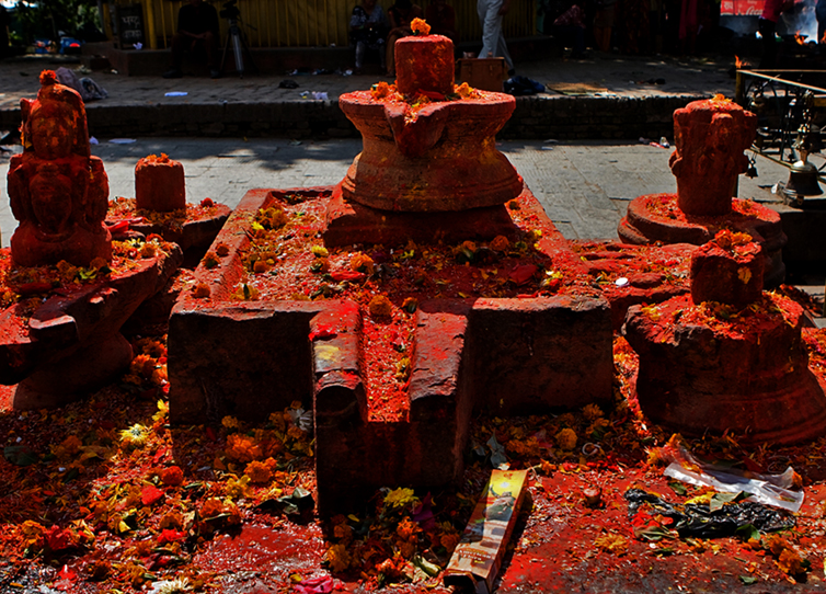 LINGAMS IN BUDDANILKANTA