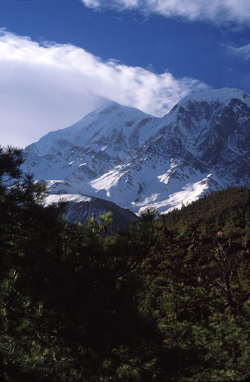 SNOW FLAGS OVER TILICHO PEAK