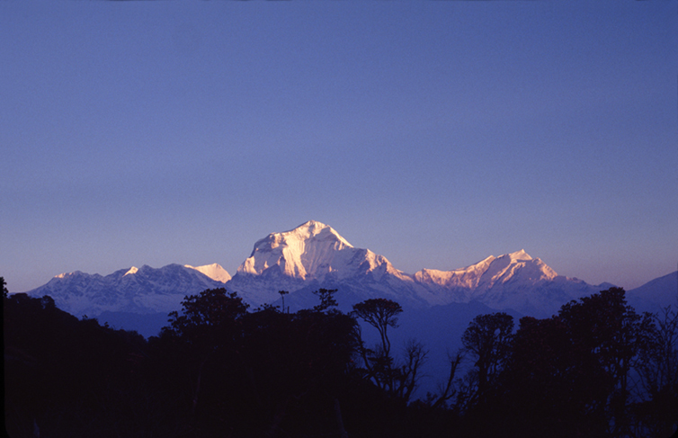 DHAULAGIRI FROM GORAPANI