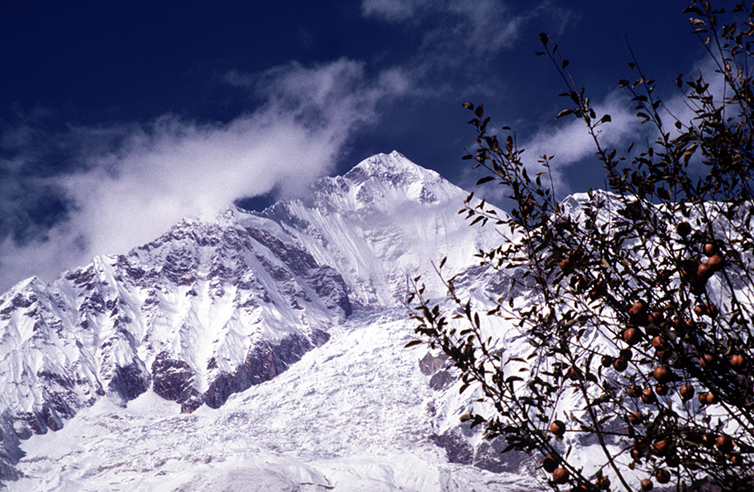 DHAULAGIRI FROM LARDJUNG