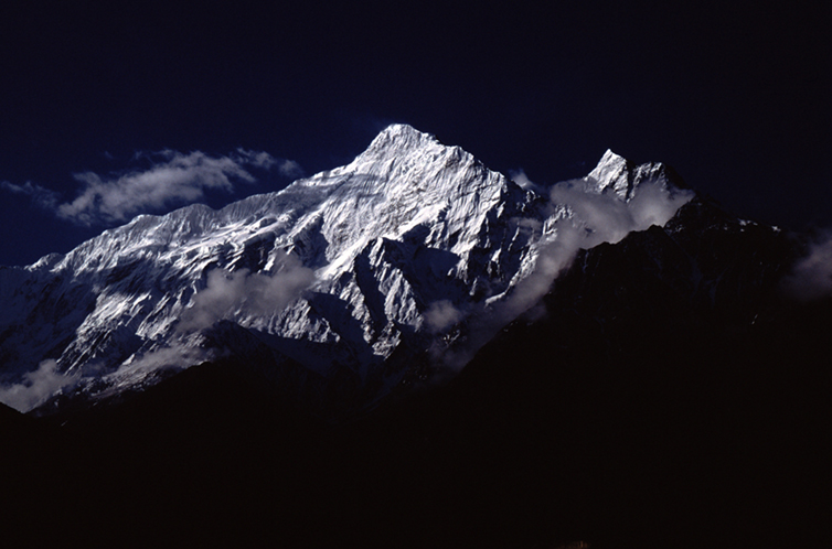 NILGIRI - BLACK AND BLUE